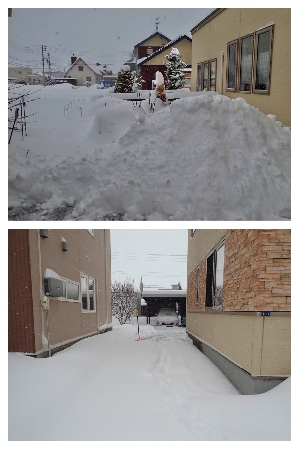 250317_March-snow_4
