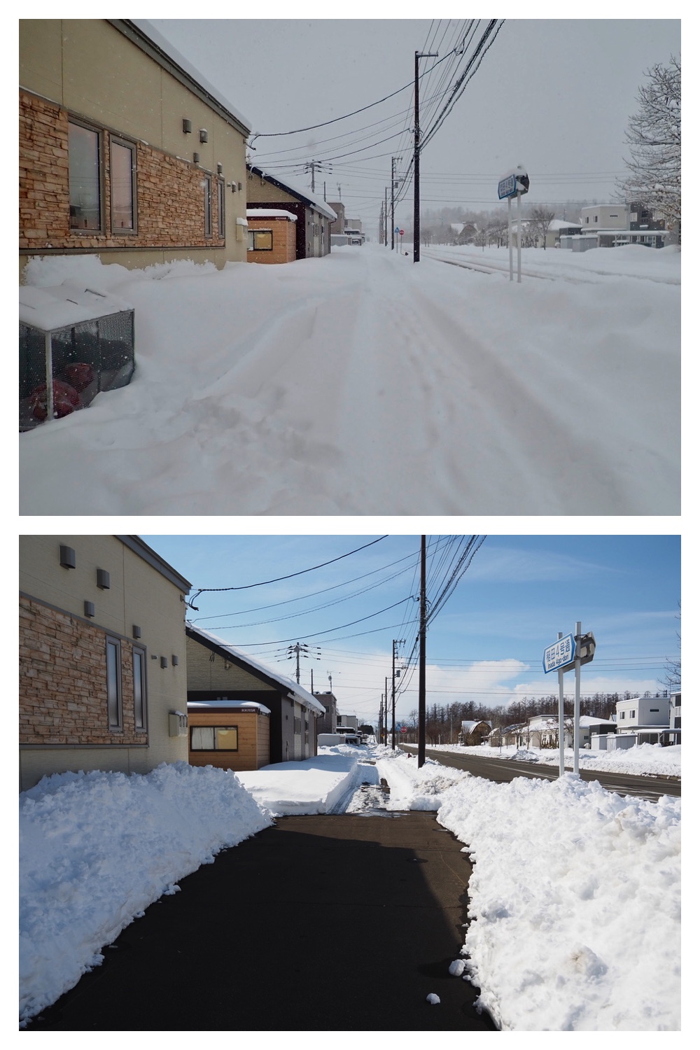250317_March-snow_6