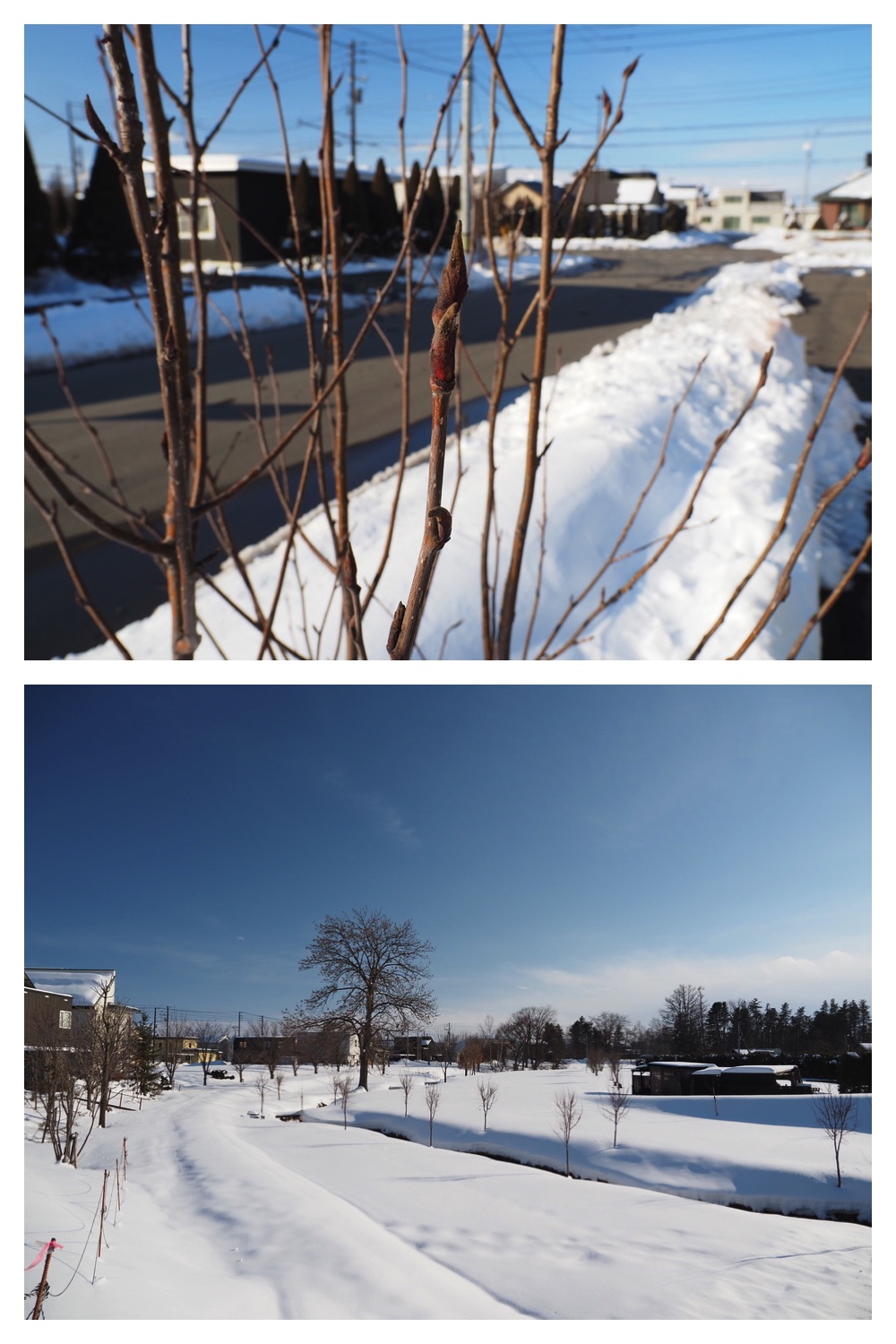 250318_Urikaigawa_15