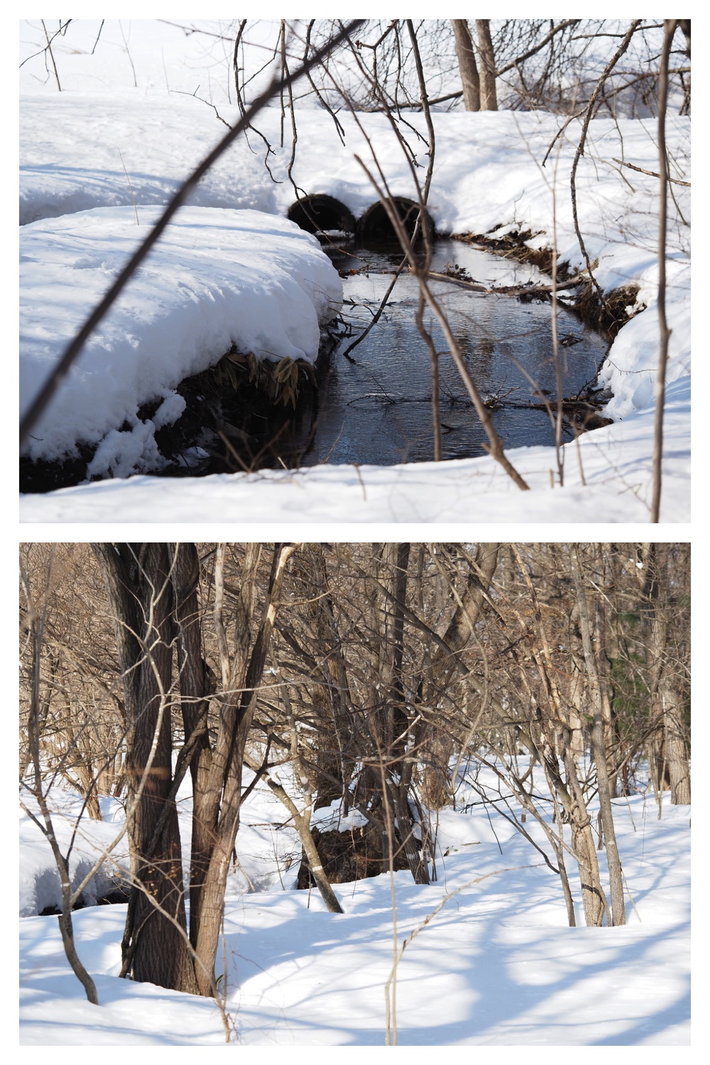 250319_Kikanko_3