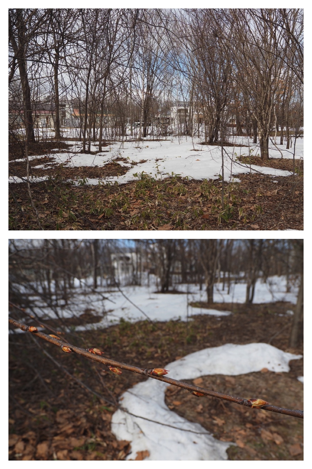 250329_Kikanko-river_1