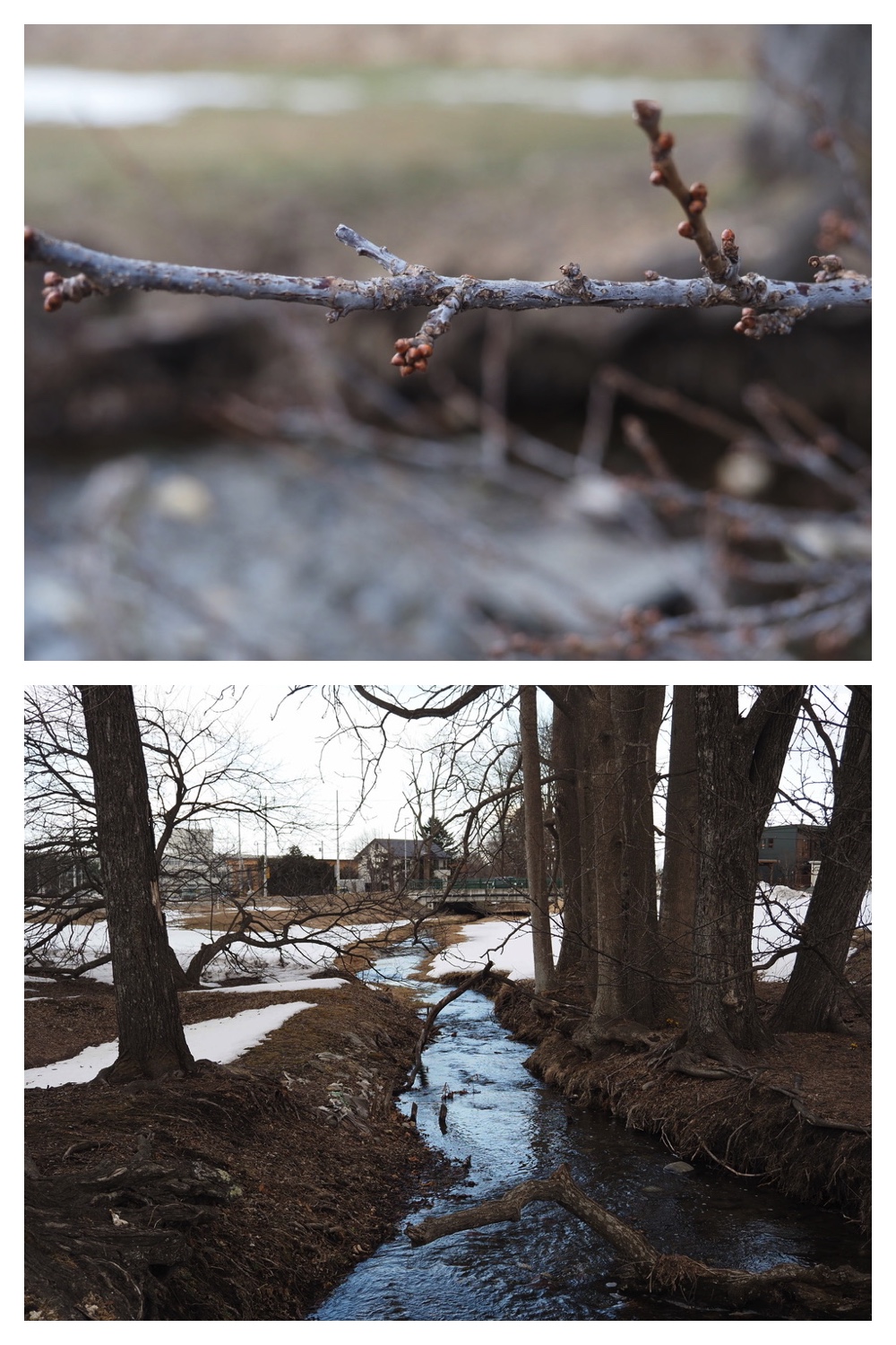 250329_Kikanko-river_11