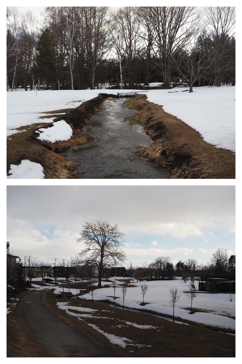 250329_Kikanko-river_12