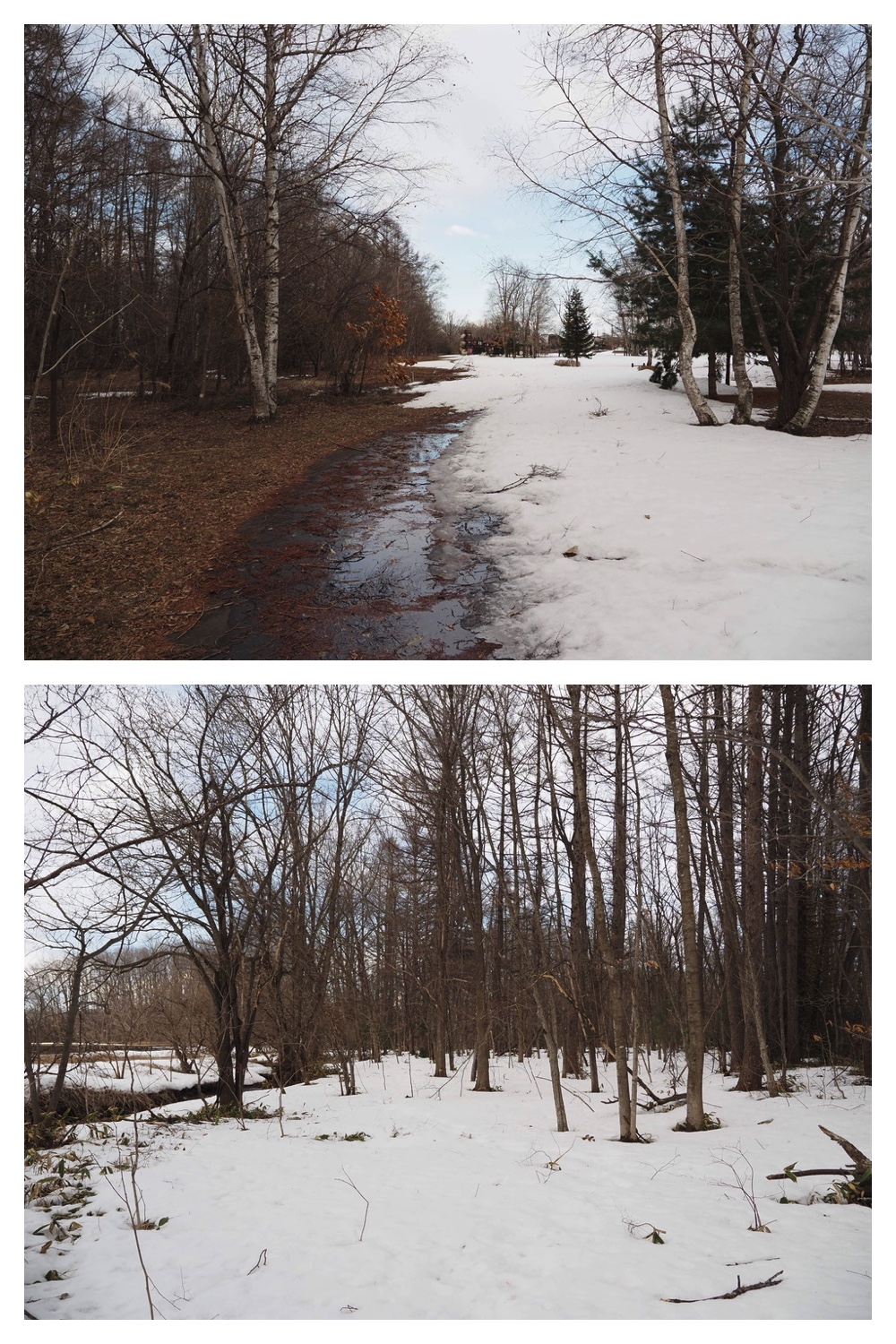 250329_Kikanko-river_2