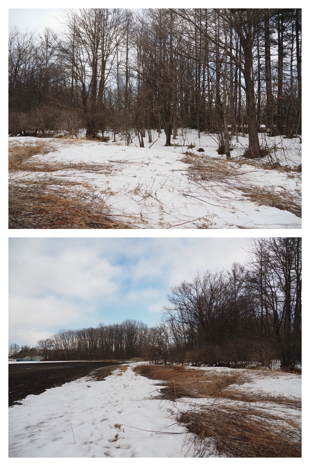 250329_Kikanko-river_3