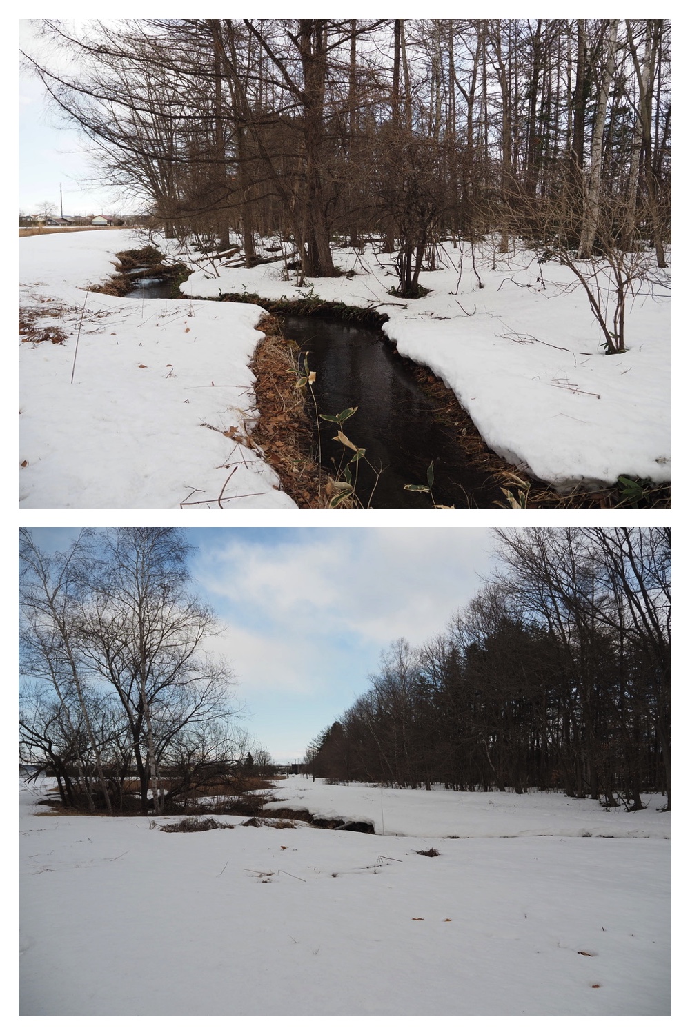 250329_Kikanko-river_4