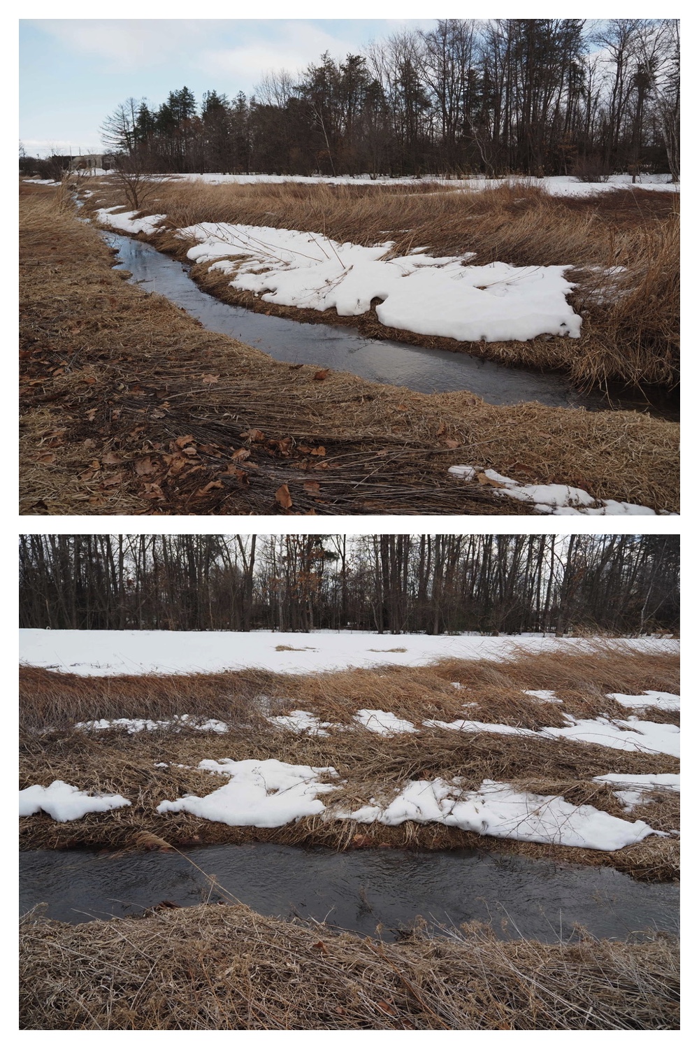 250329_Kikanko-river_6