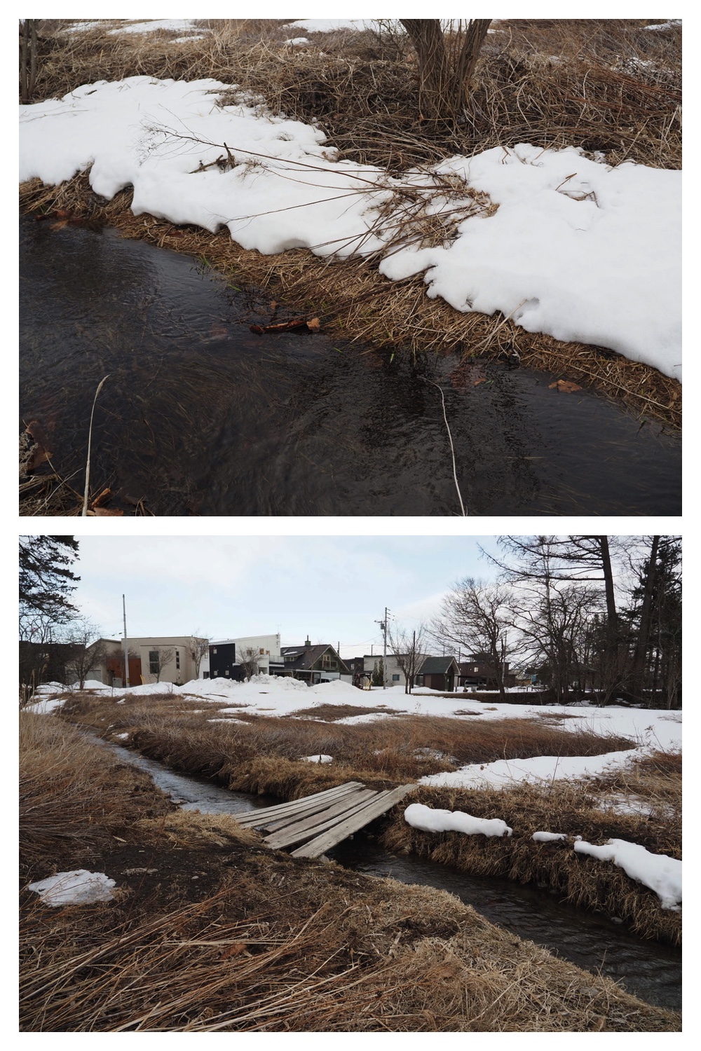 250329_Kikanko-river_7