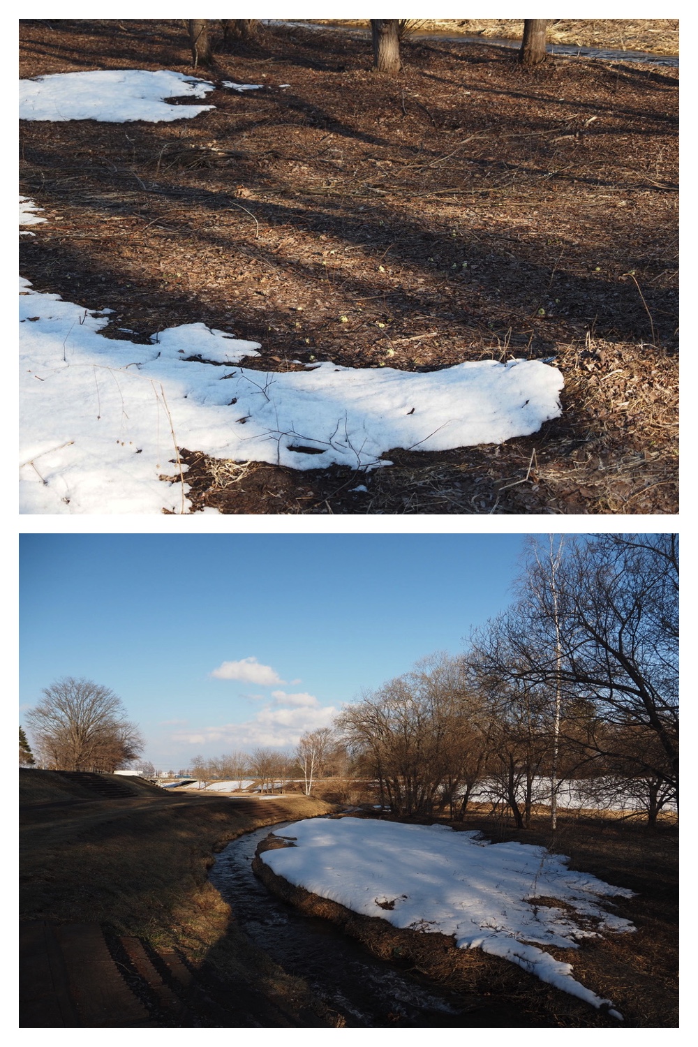 250331_Sakeno-furusato-park_1