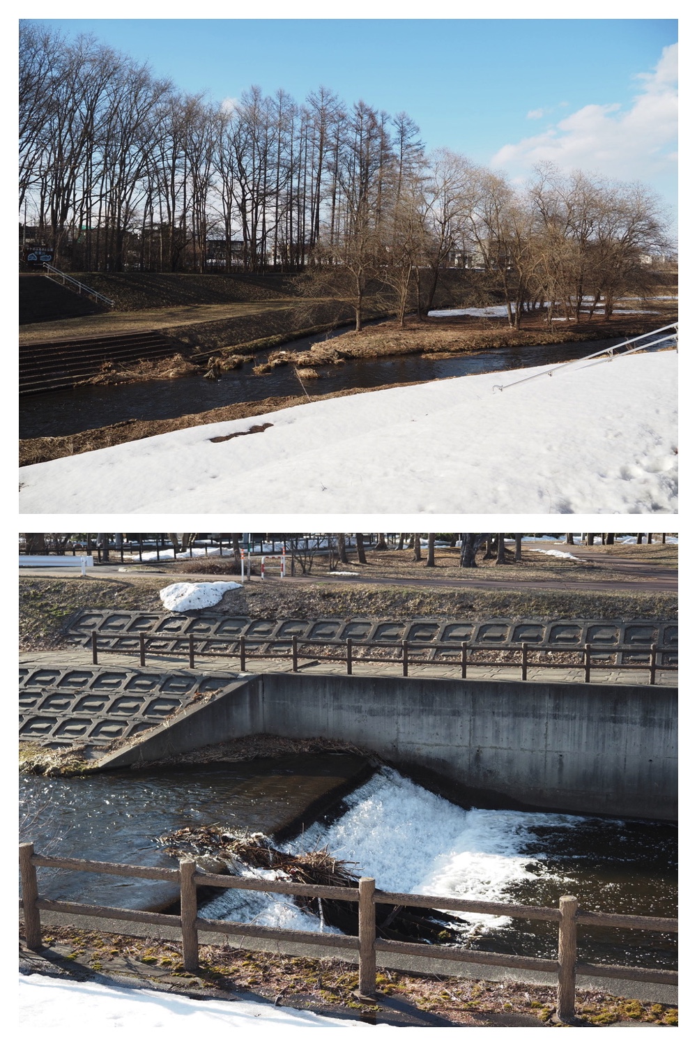 250331_Sakeno-furusato-park_1
