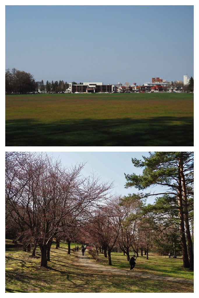 250501_Midorigaoka_5