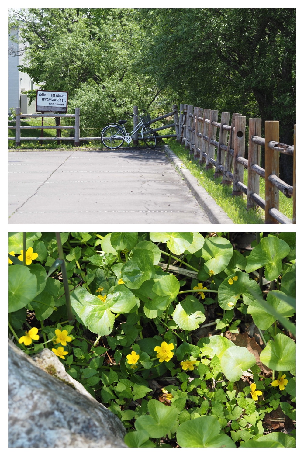 250523_Hasshounochi_1