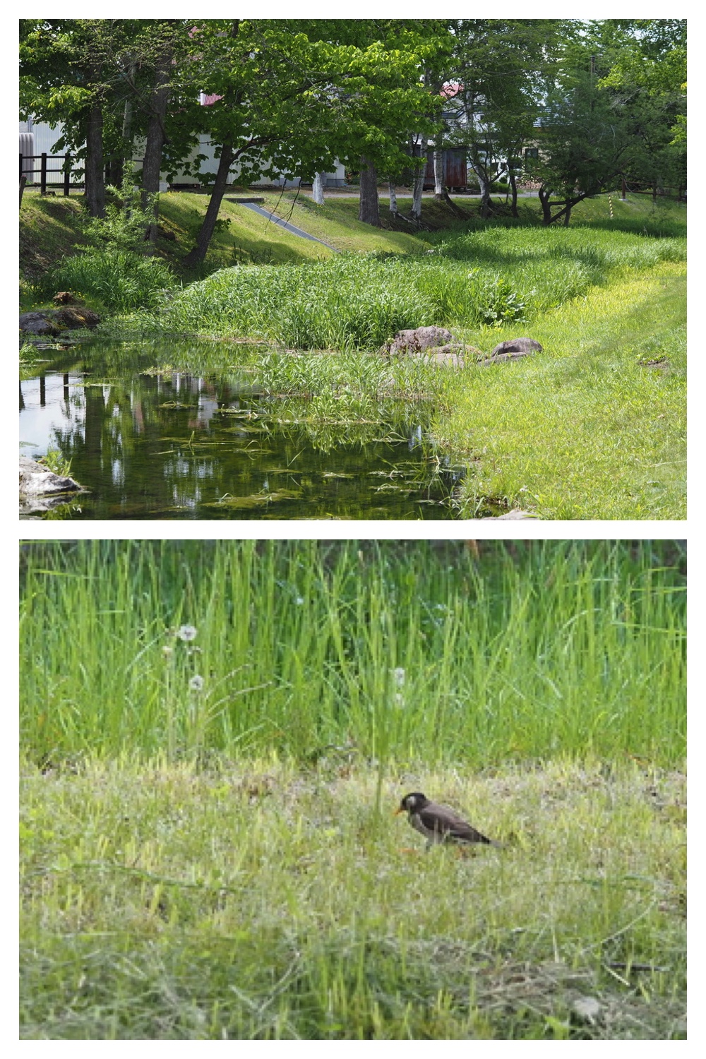 250523_Teibou_1