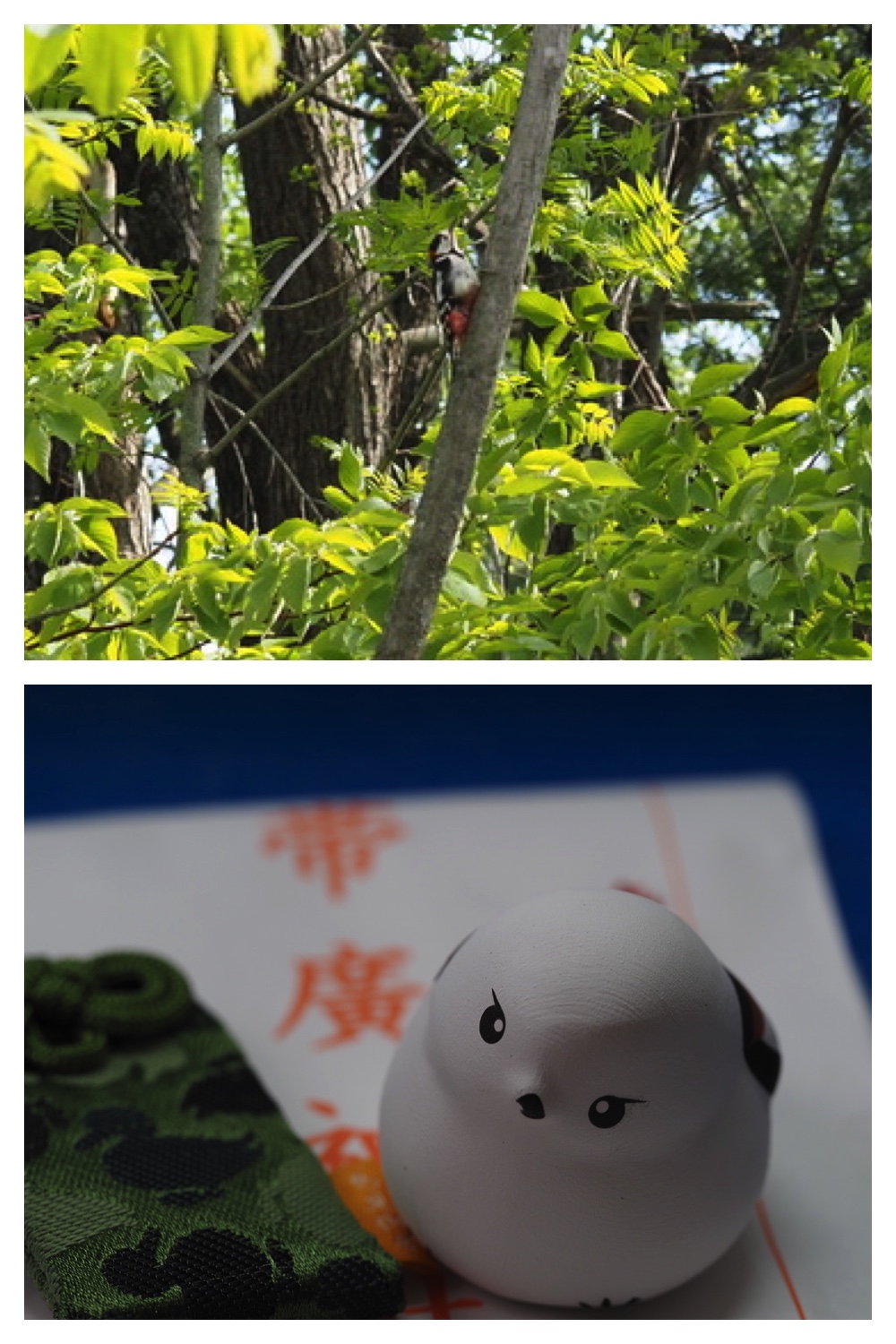 250523_Teibou_5