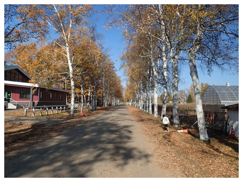 2025_1104_Oka-family_11