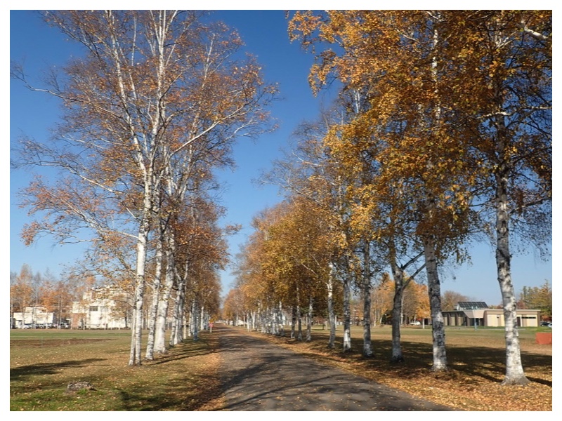 2025_1104_Oka-family_12