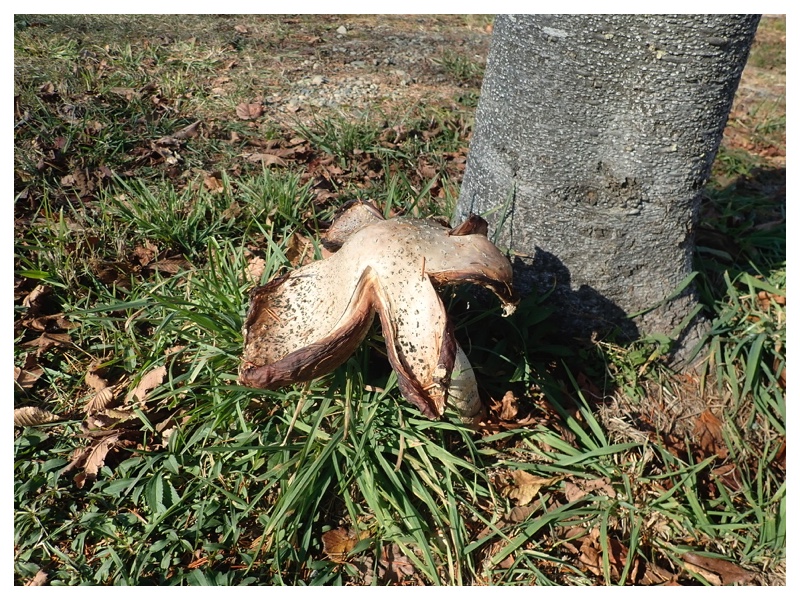 2025_1104_Oka-family_3