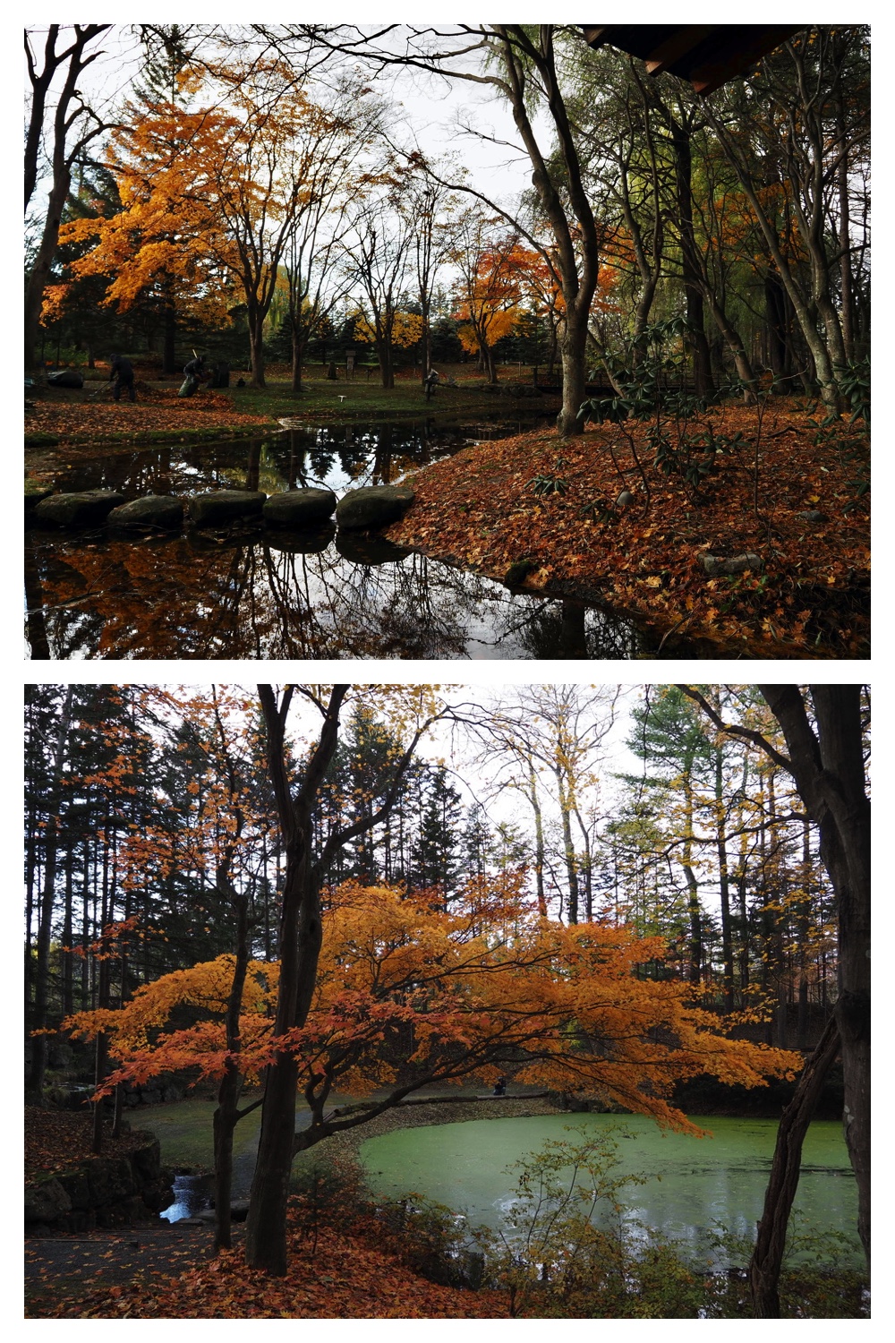 251103_Satsunai-garden_20