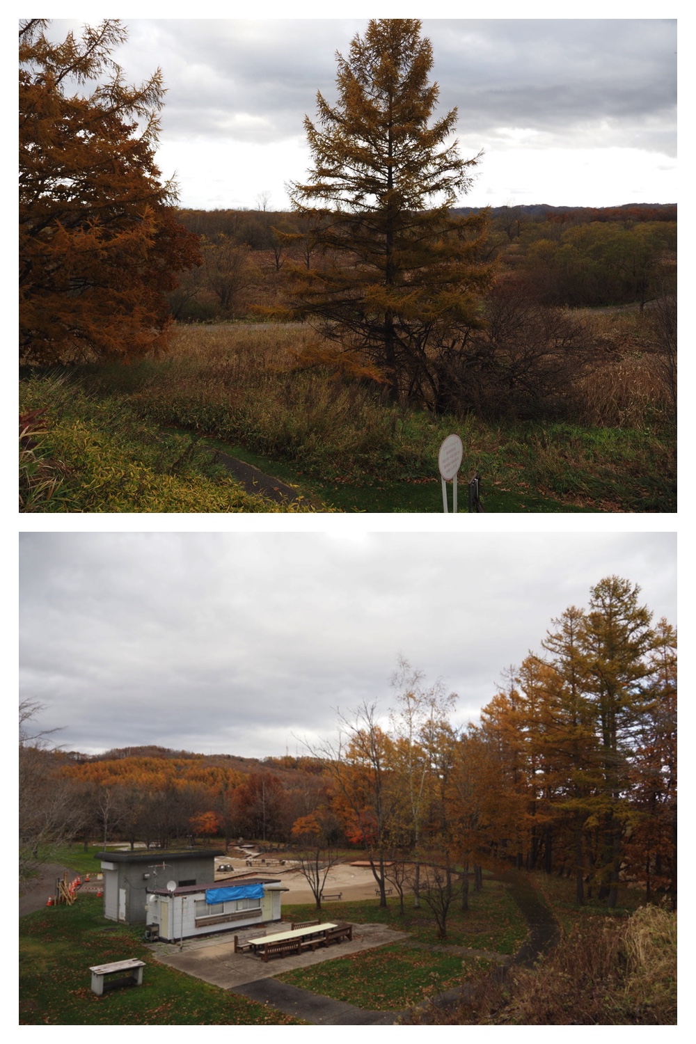 251103_Satsunai-garden_4