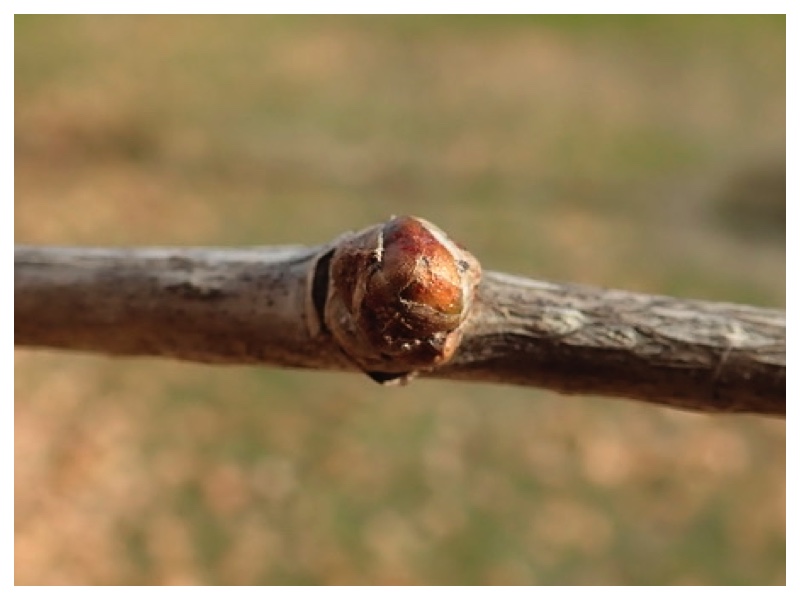 251115_Kankyou-kouryuukai_3