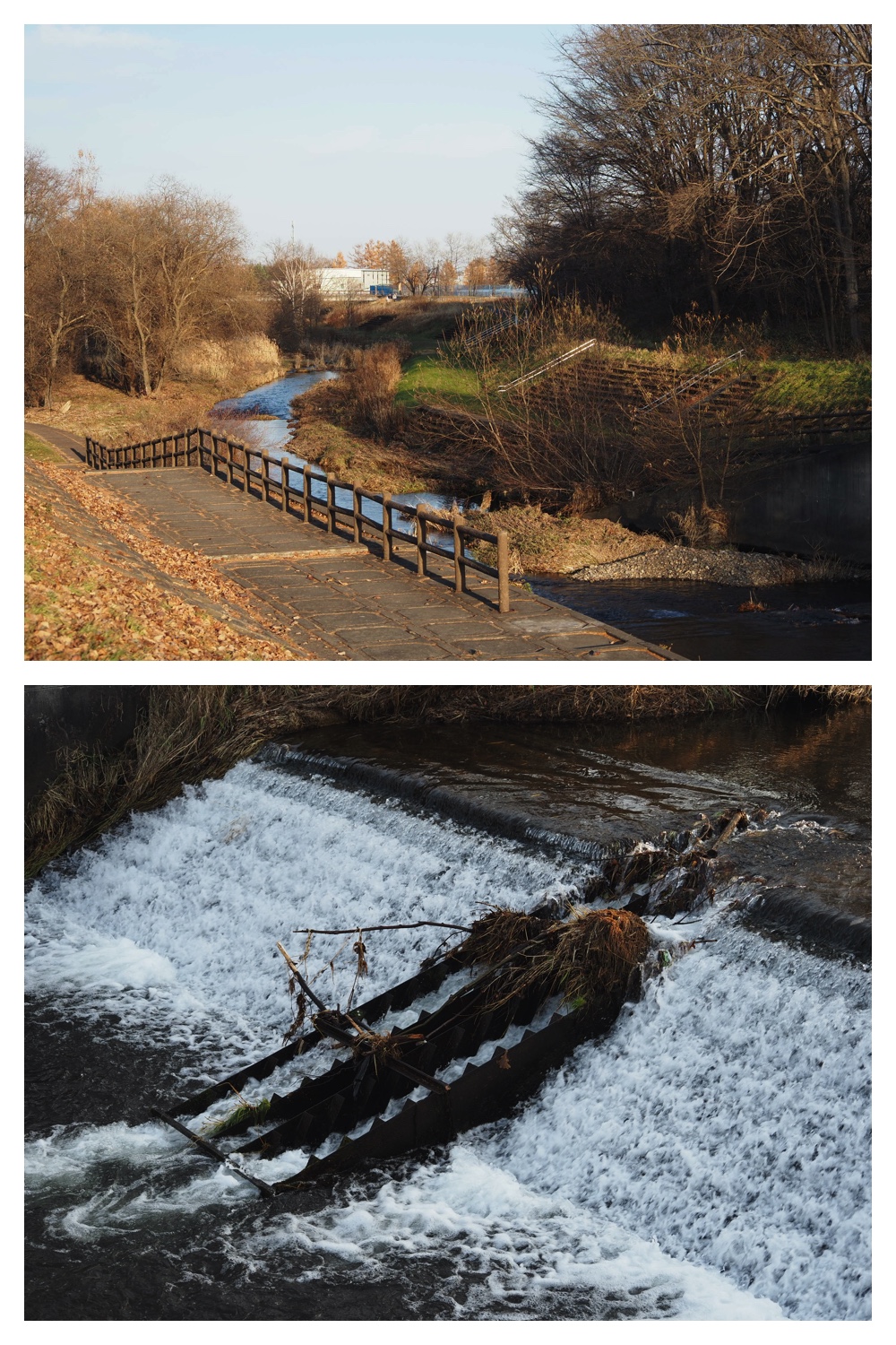 251116_Urikaigawa_10