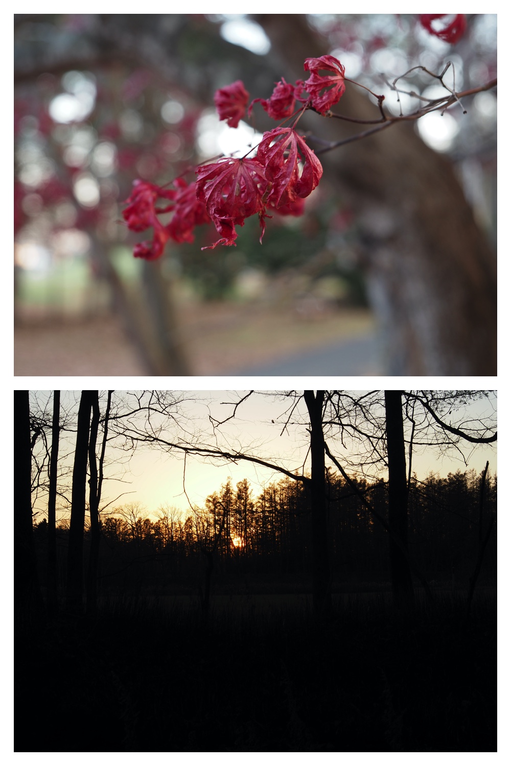 251116_Urikaigawa_15