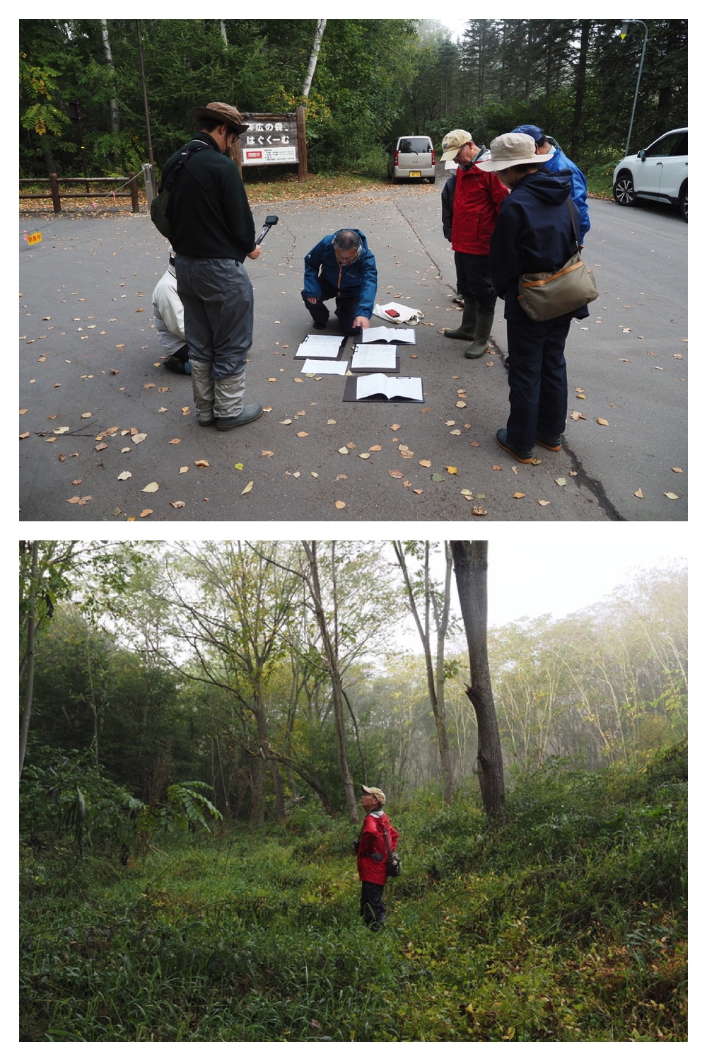 251005_Ezorisunokai_1