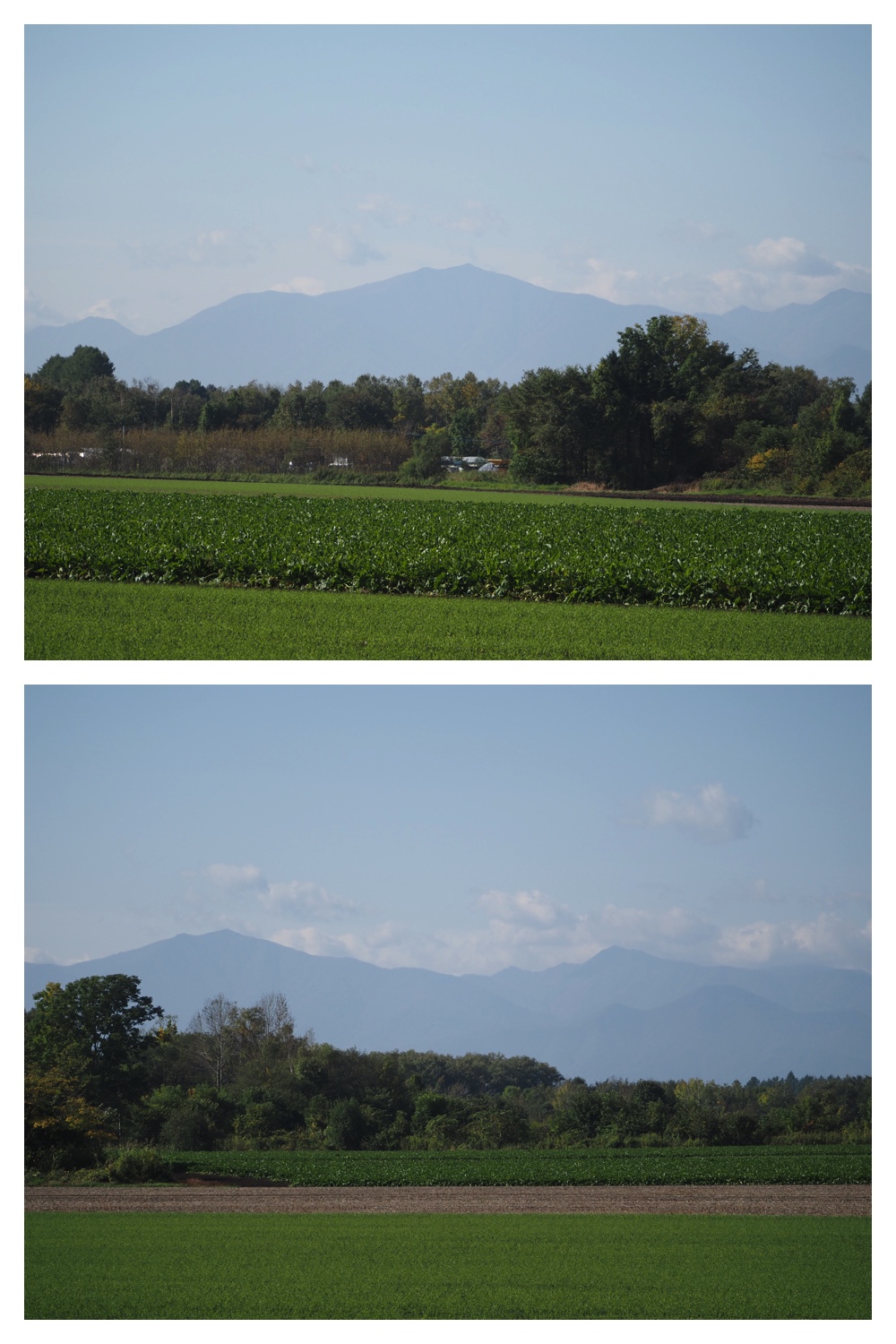 251005_Ezorisunokai_11