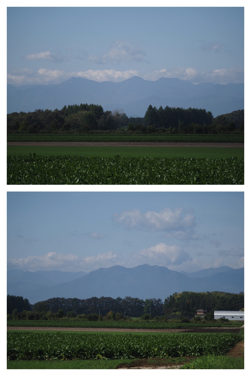 251005_Ezorisunokai_12