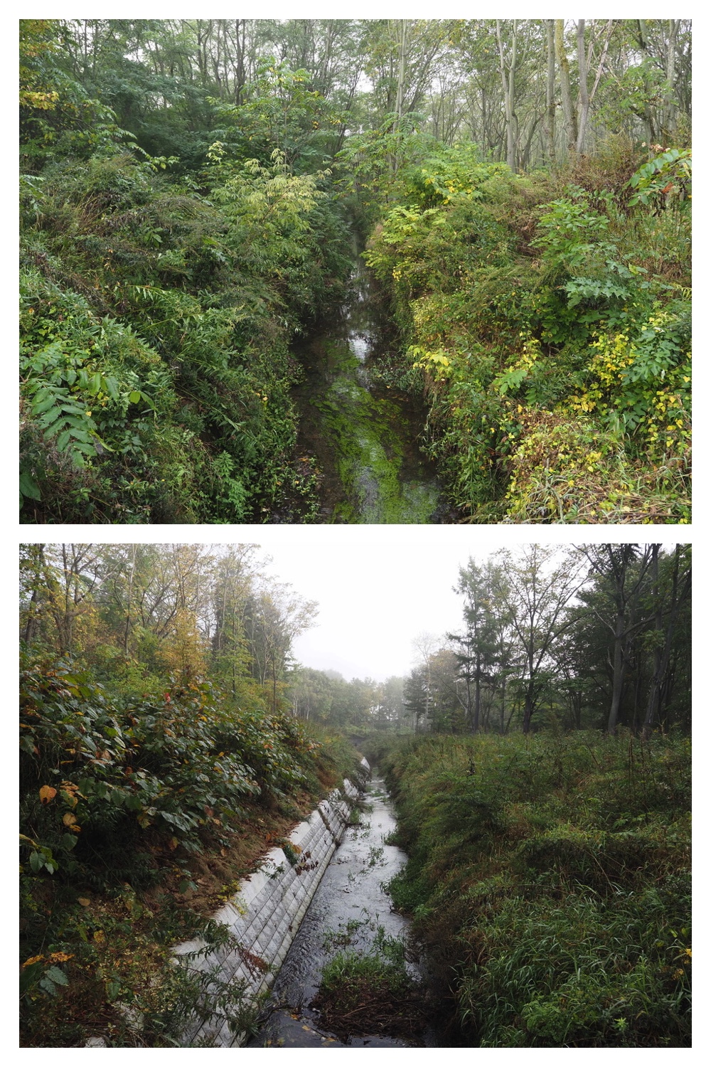 251005_Ezorisunokai_2