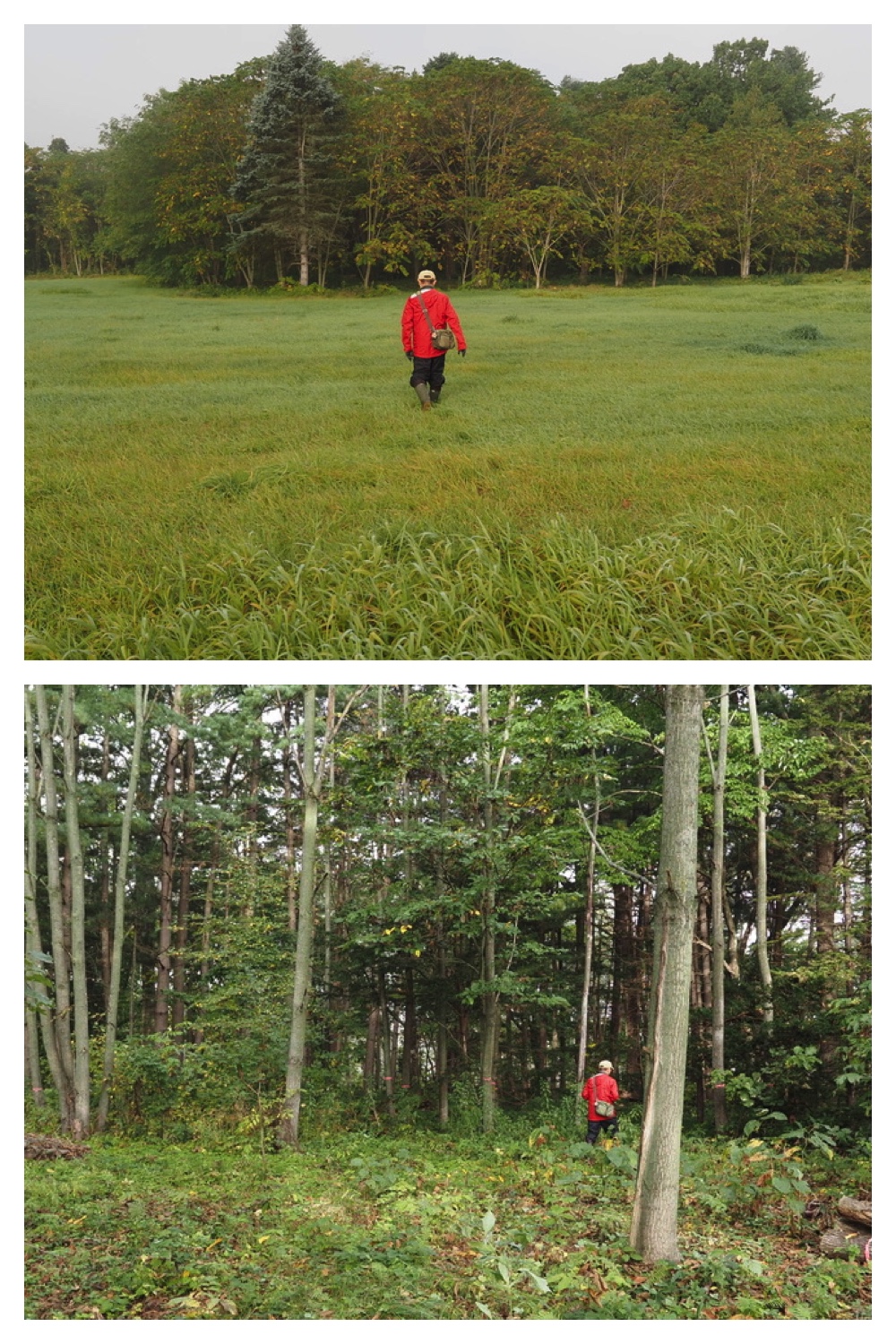 251005_Ezorisunokai_3