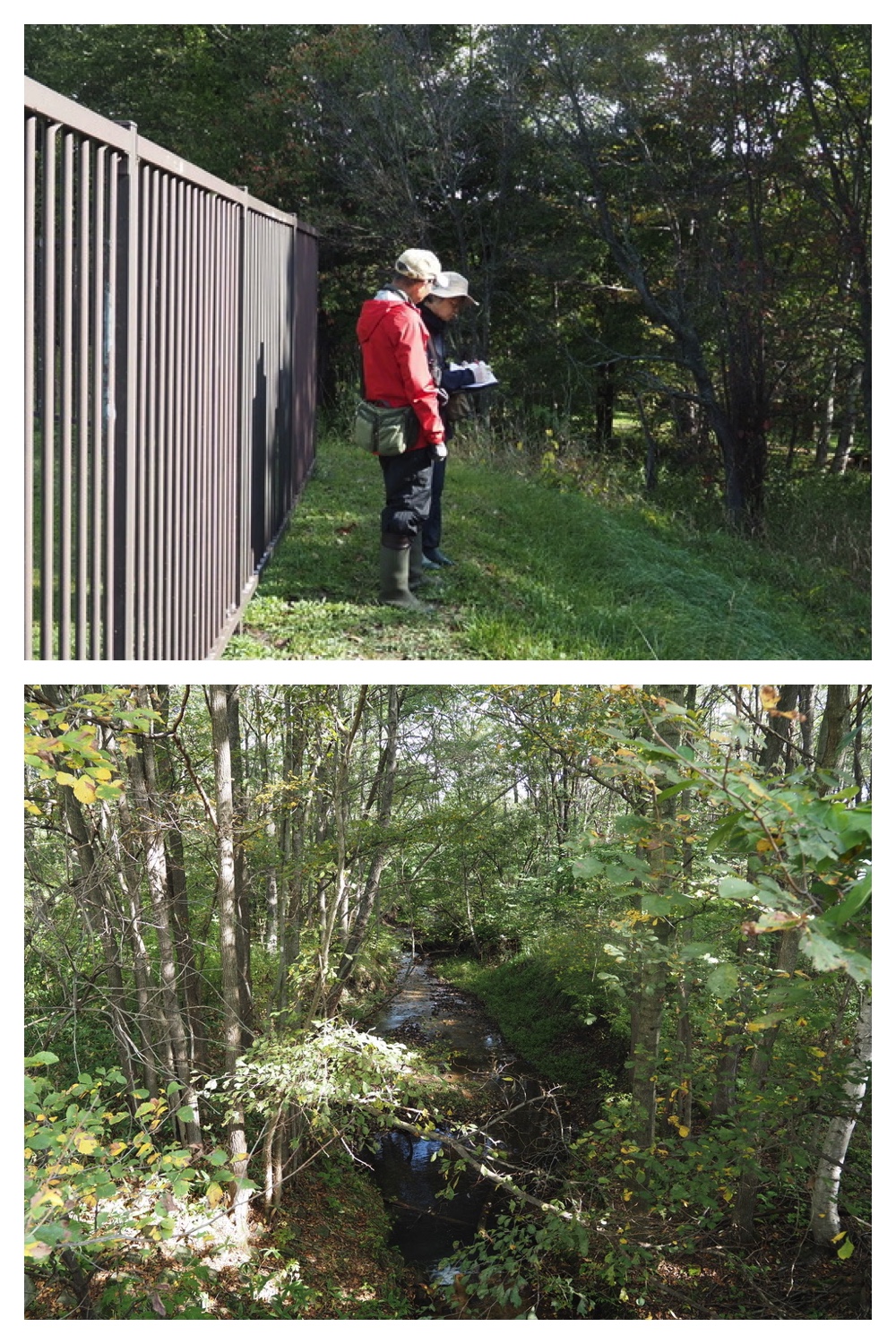 251005_Ezorisunokai_5