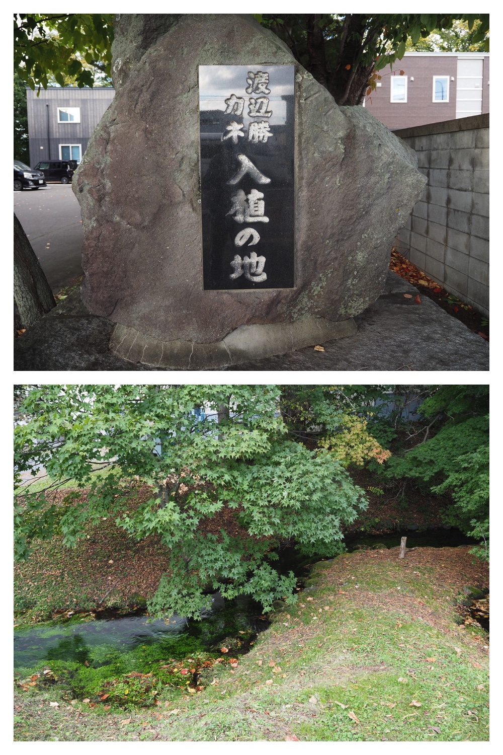 251009_Hasshounochi_11