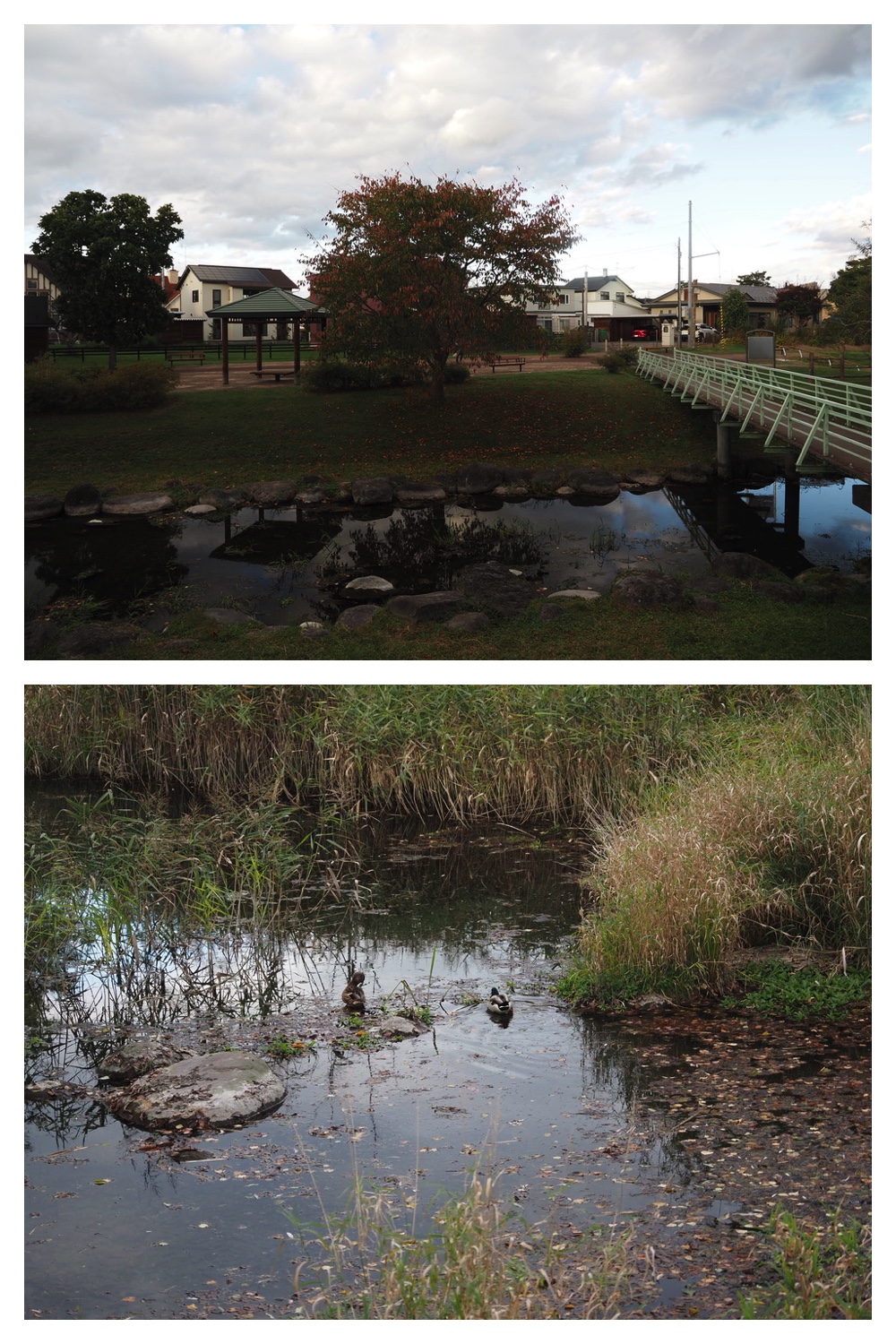 251009_Hasshounochi_13