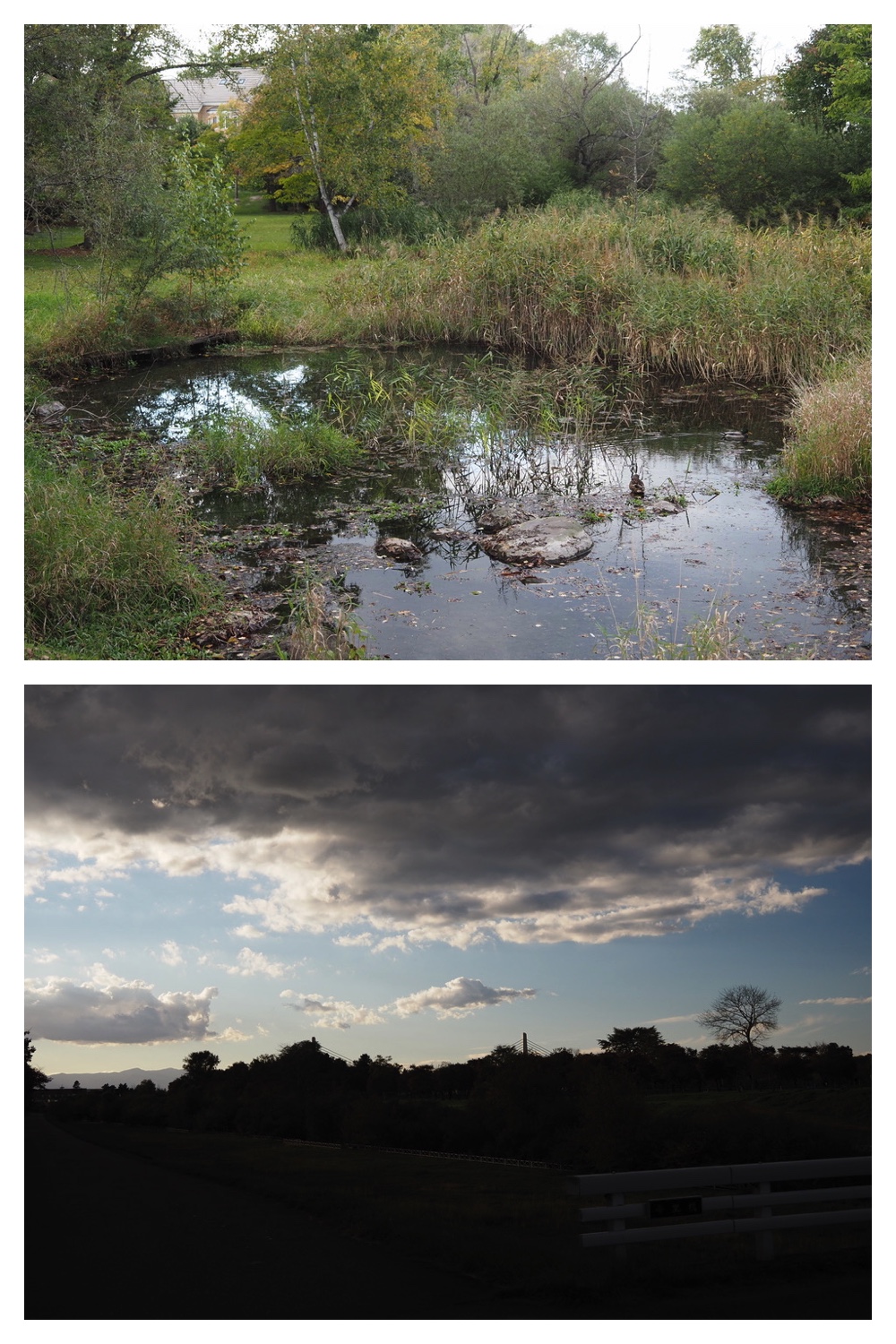 251009_Hasshounochi_14