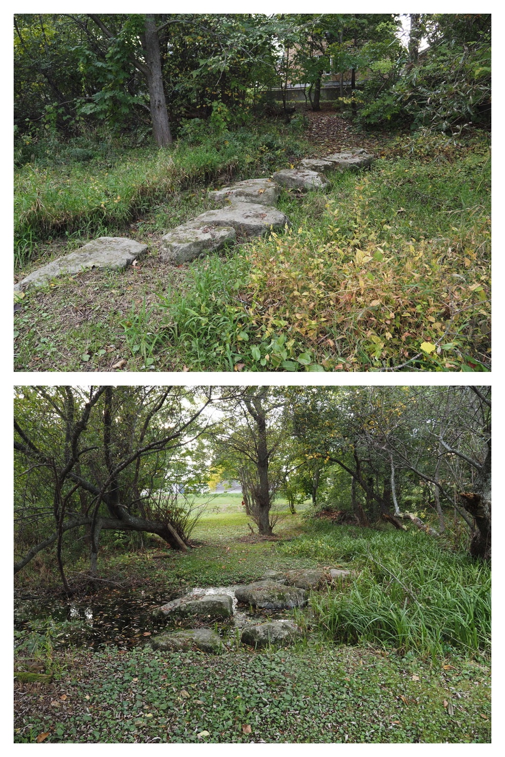 251009_Hasshounochi_3