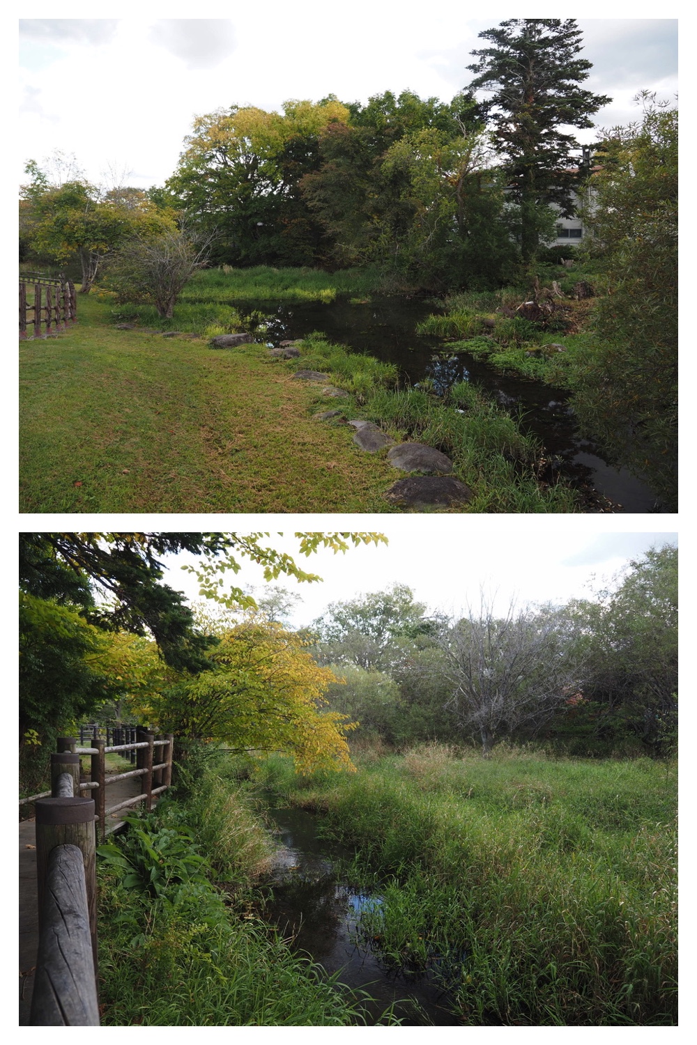 251009_Hasshounochi_5