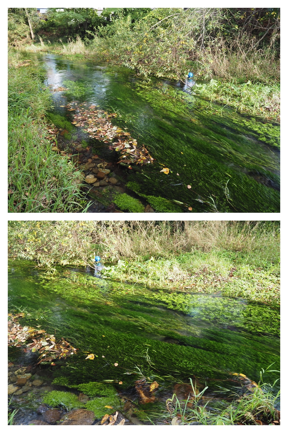 251009_Hasshounochi_7