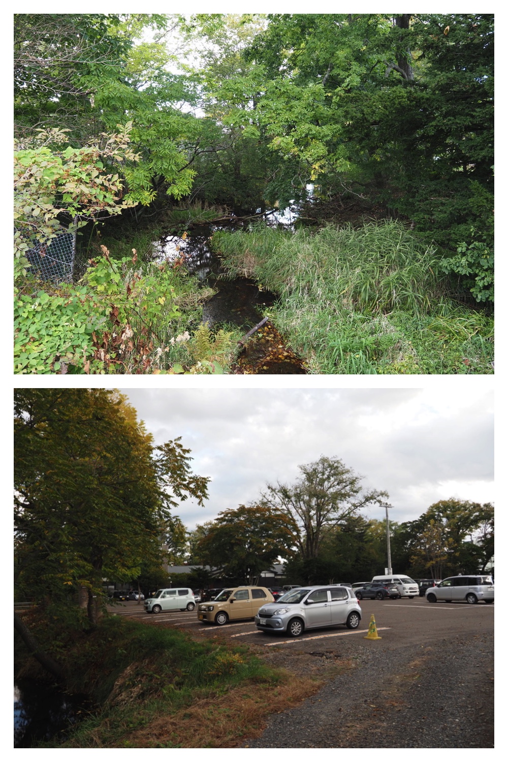 251009_Hasshounochi_9