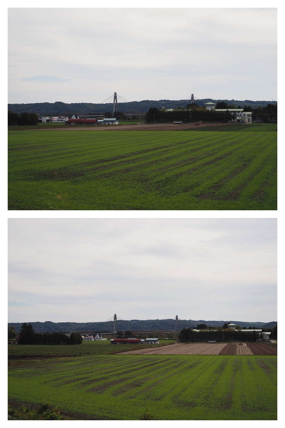 251011_Tokachigaoka_12