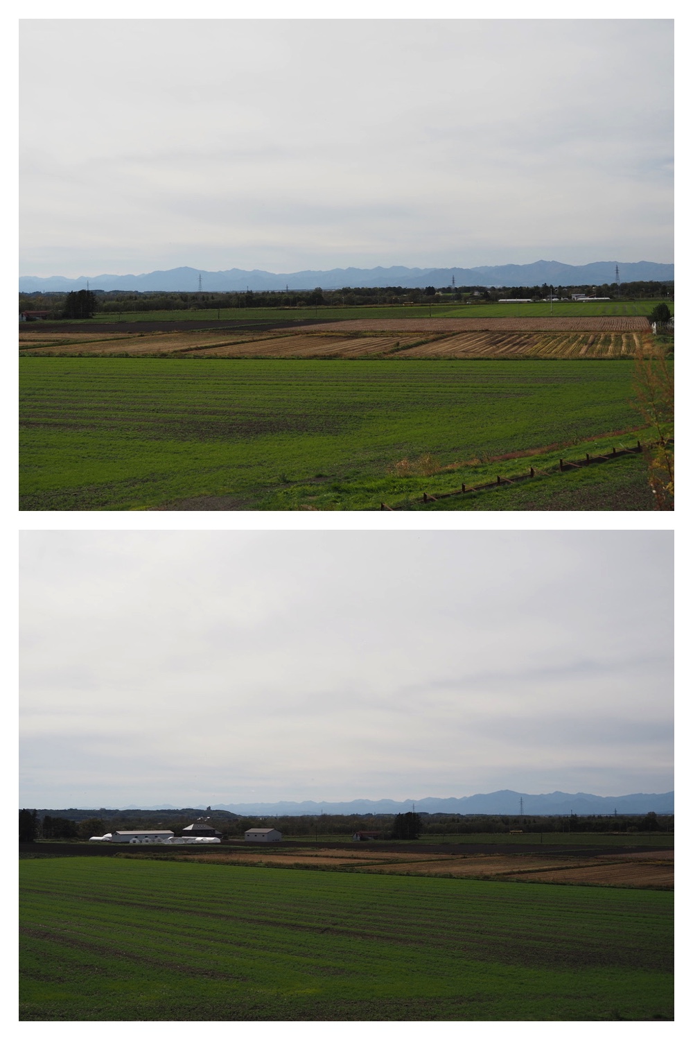 251011_Tokachigaoka_13