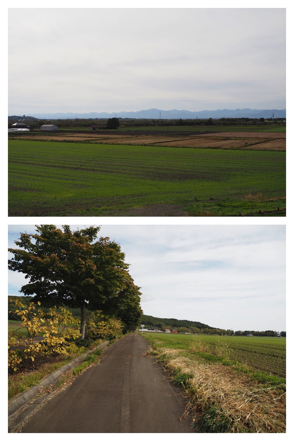 251011_Tokachigaoka_14