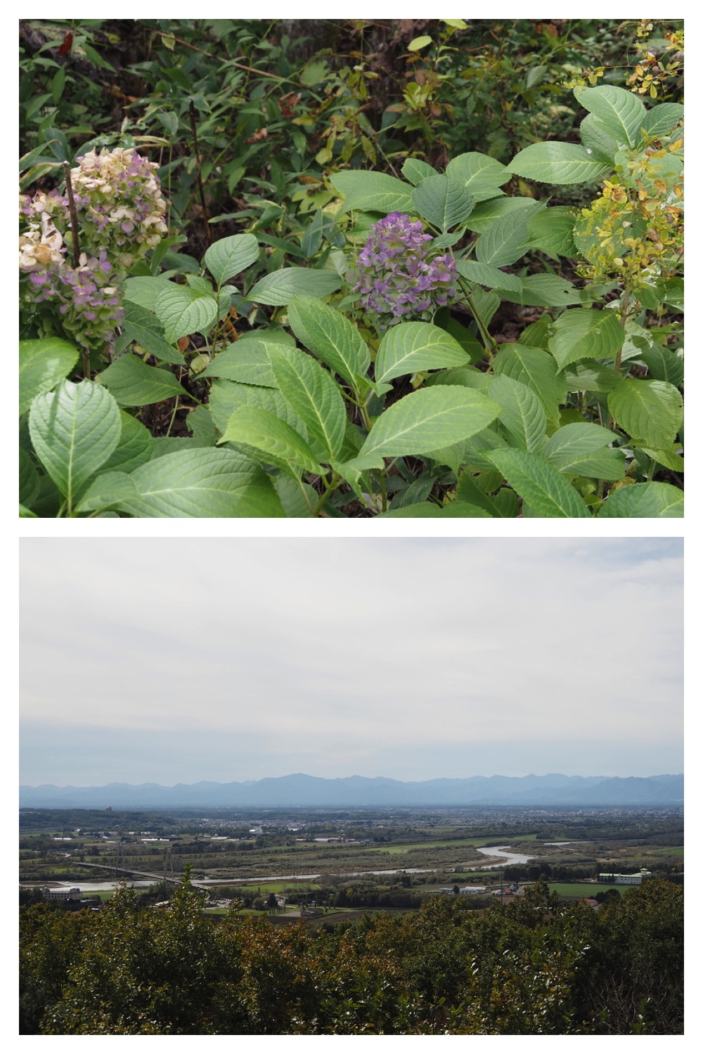 251011_Tokachigaoka_17