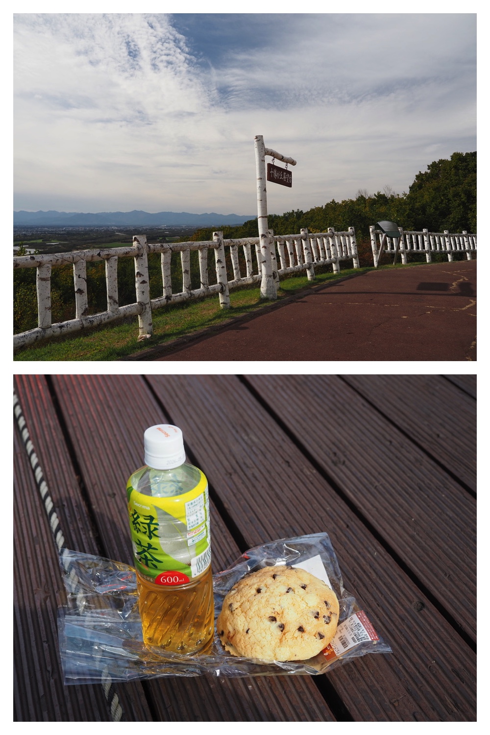 251011_Tokachigaoka_19