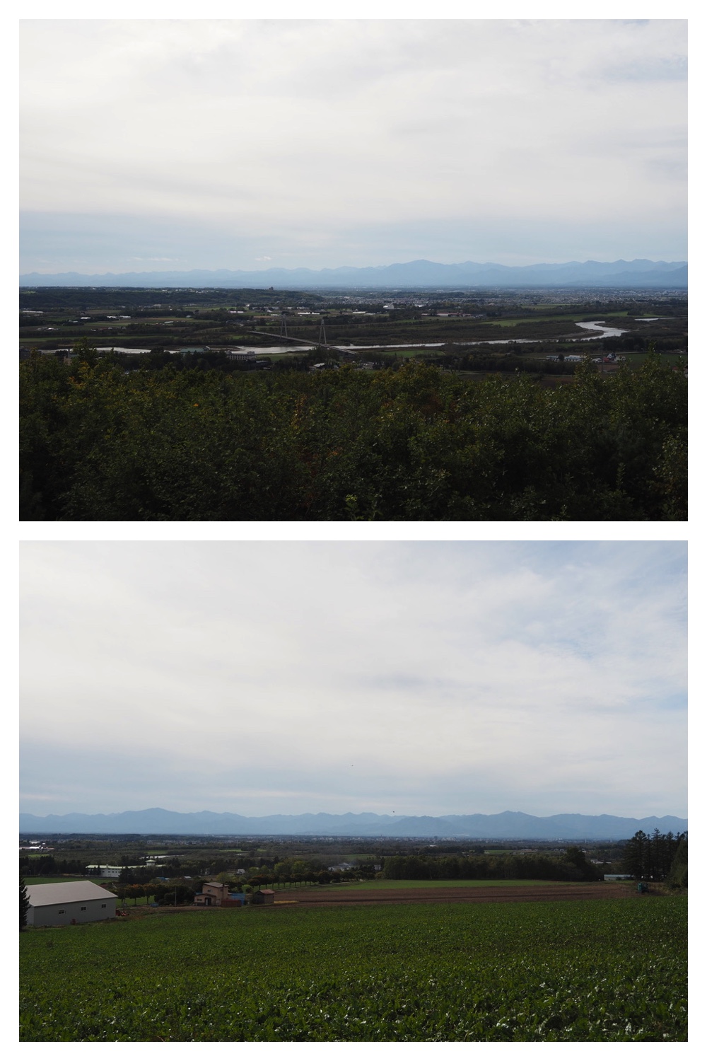 251011_Tokachigaoka_21