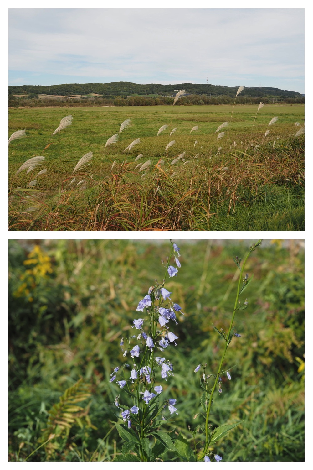 251011_Tokachigaoka_26