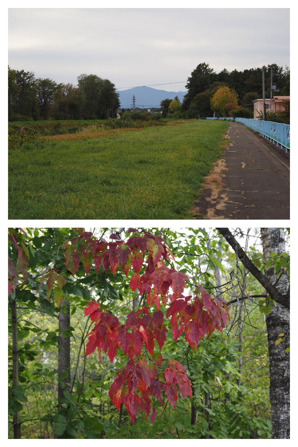 251011_Tokachigaoka_29