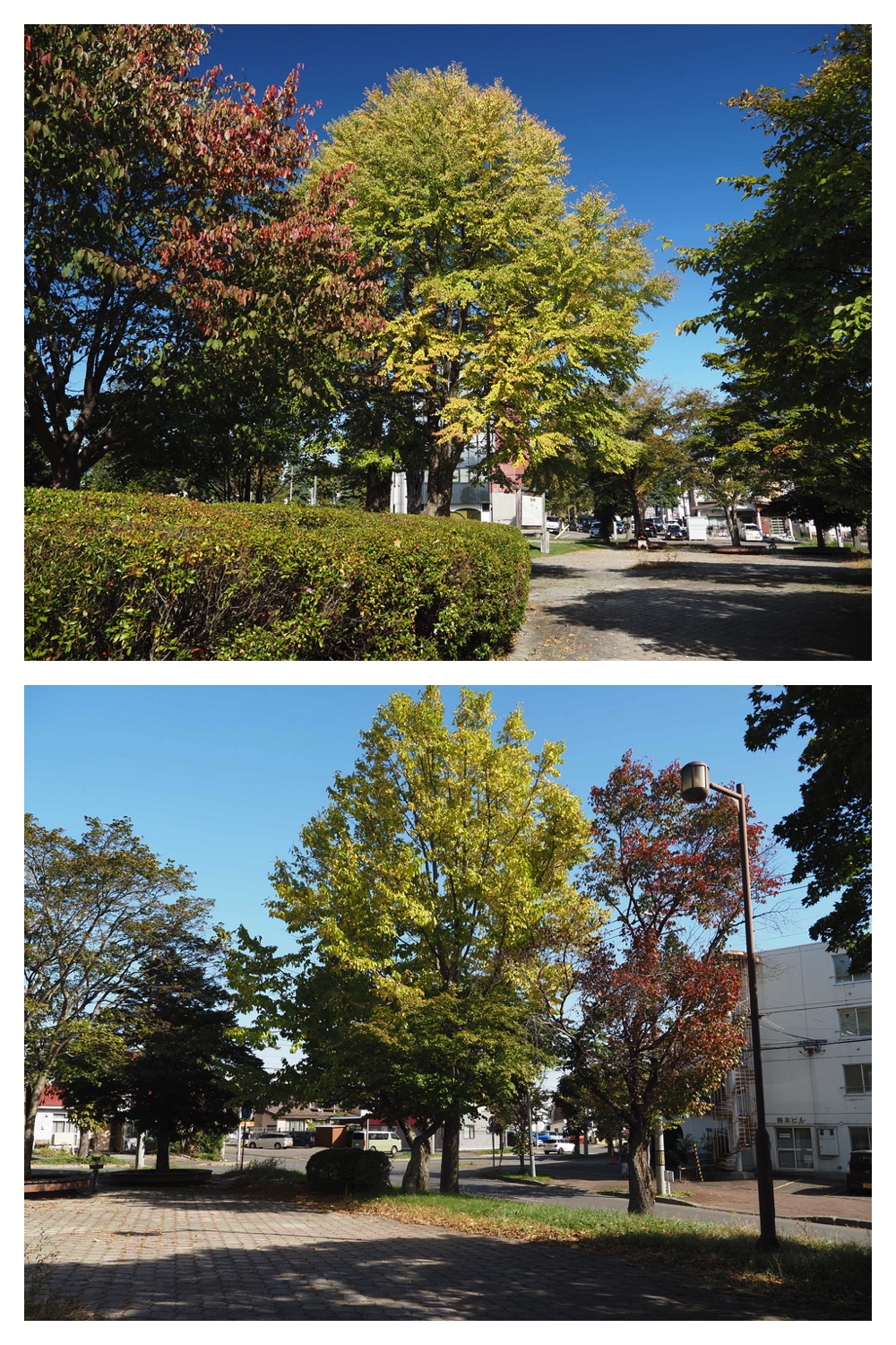 251011_Tokachigaoka_3