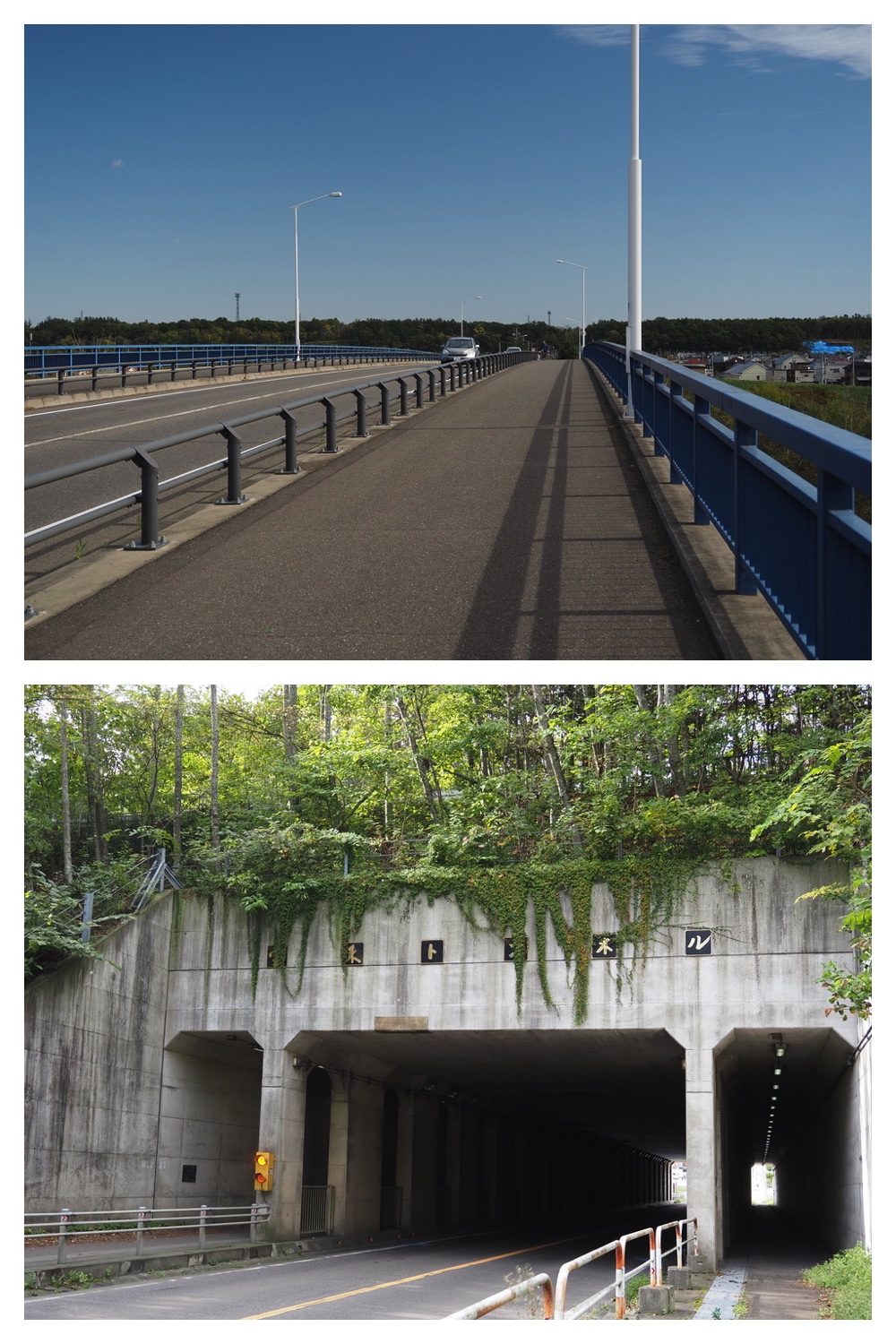 251011_Tokachigaoka_8