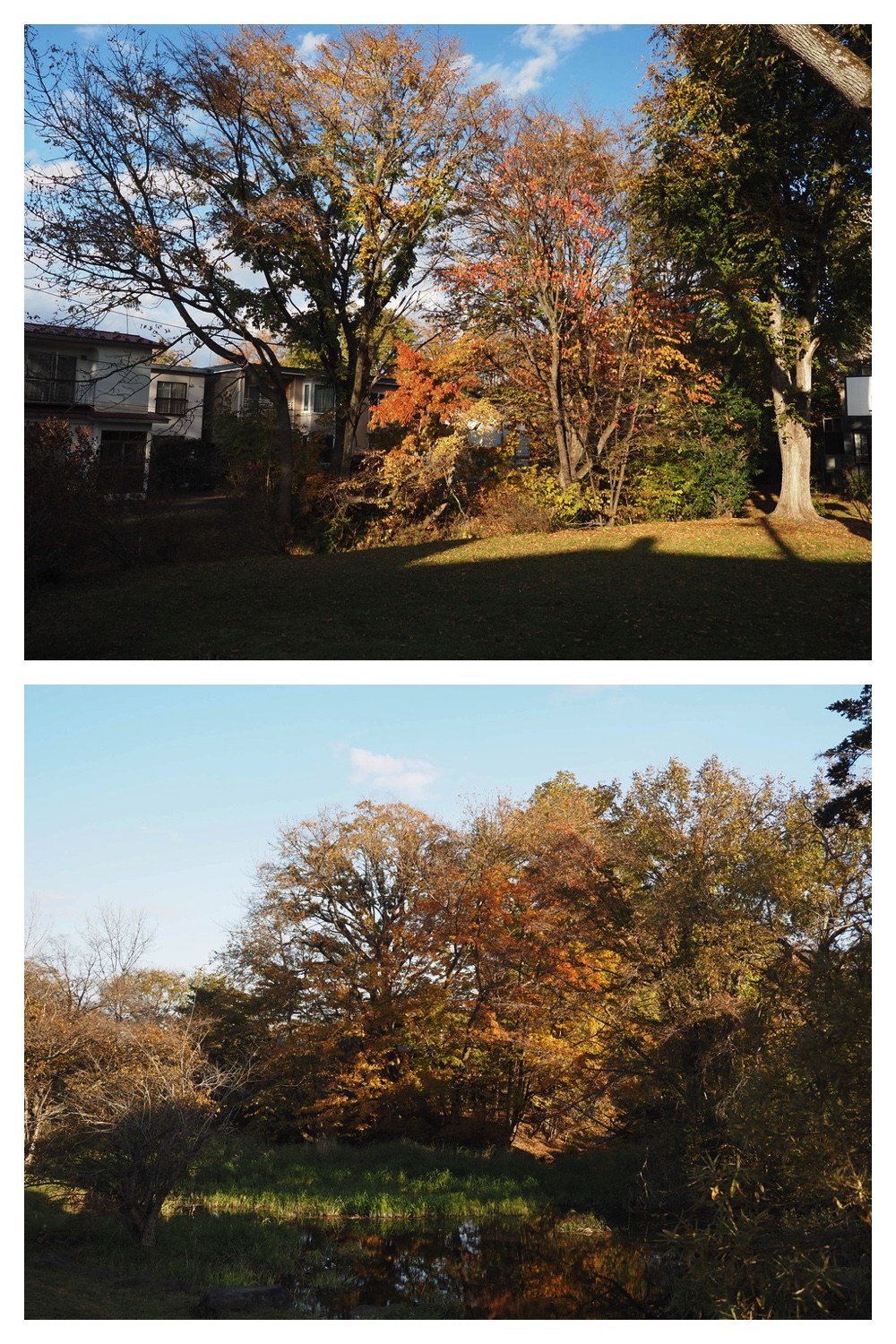 251024_Obihiro-shrine_18